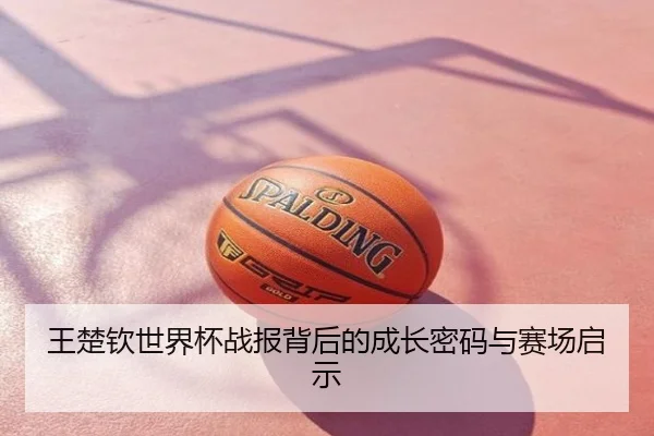 王楚钦世界杯战报背后的成长密码与赛场启示