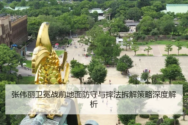张伟丽卫冕战前地面防守与摔法拆解策略深度解析
