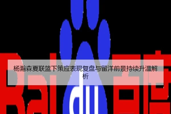 杨瀚森夏联篮下策应表现复盘与留洋前景持续升温解析
